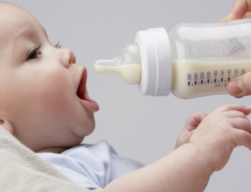¿Cuál es la mejor leche de fórmula?