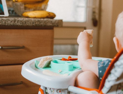 Alimentación Complementaria: Una Guía para Padres sobre BLW (Baby-Led Weaning)