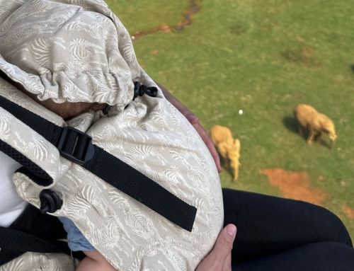 Mochila de porteo vs carrito de bebé: pros y contras